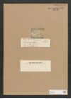 Amphiprora plicata Grev. (de-Toni-Nr.: Genus 29, Species 1309) Zeichnungen Sammlung Grunow Nr. 2521 (NHMW-BOT-W0369687)
